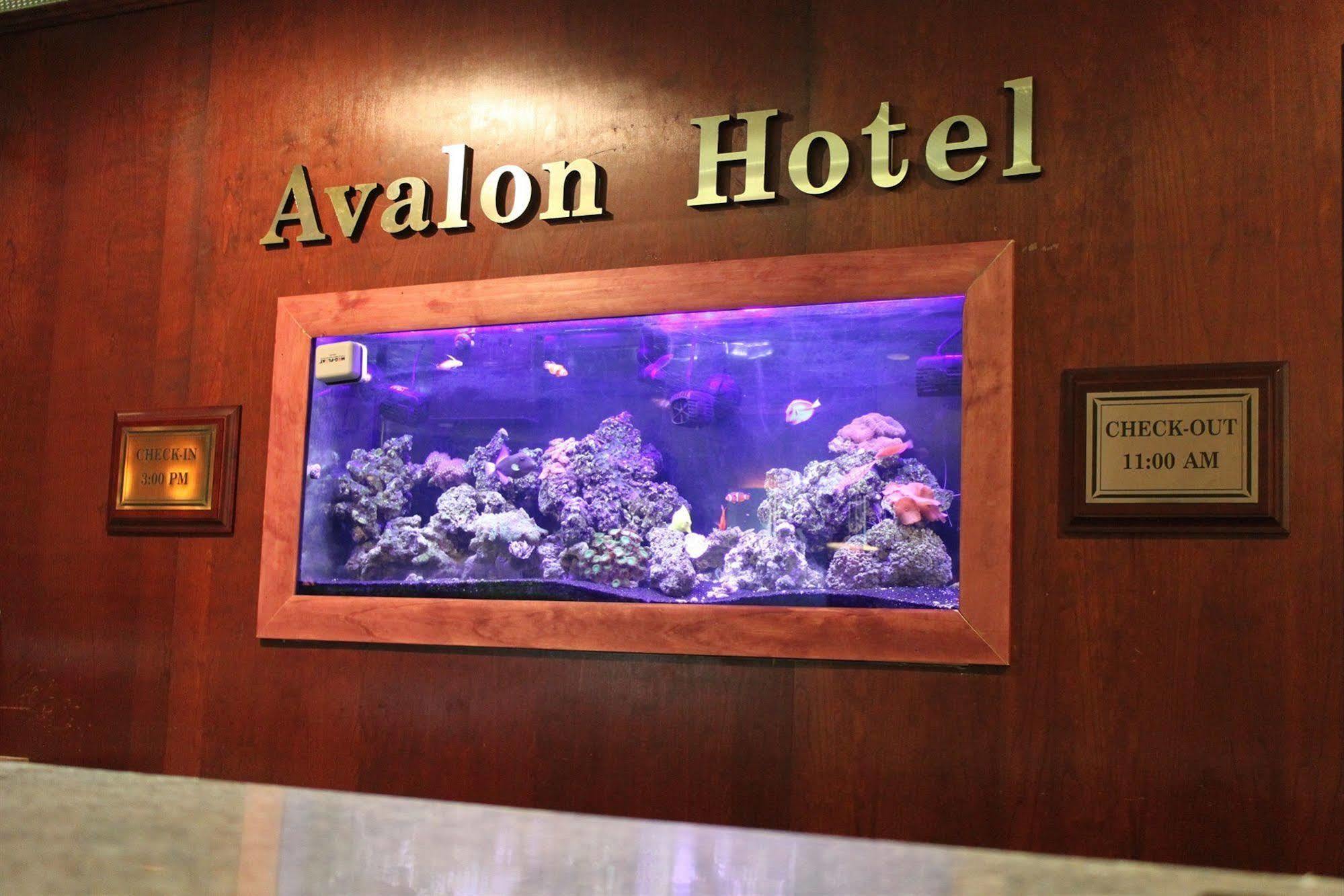 The Avalon Hotel And Conference Center Erie Esterno foto